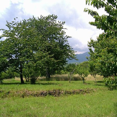 הוילה SantʼAlfio Cirasellaetna מראה חיצוני תמונה