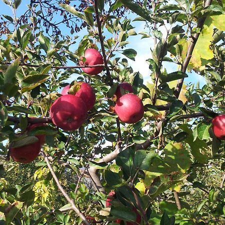 הוילה SantʼAlfio Cirasellaetna מראה חיצוני תמונה